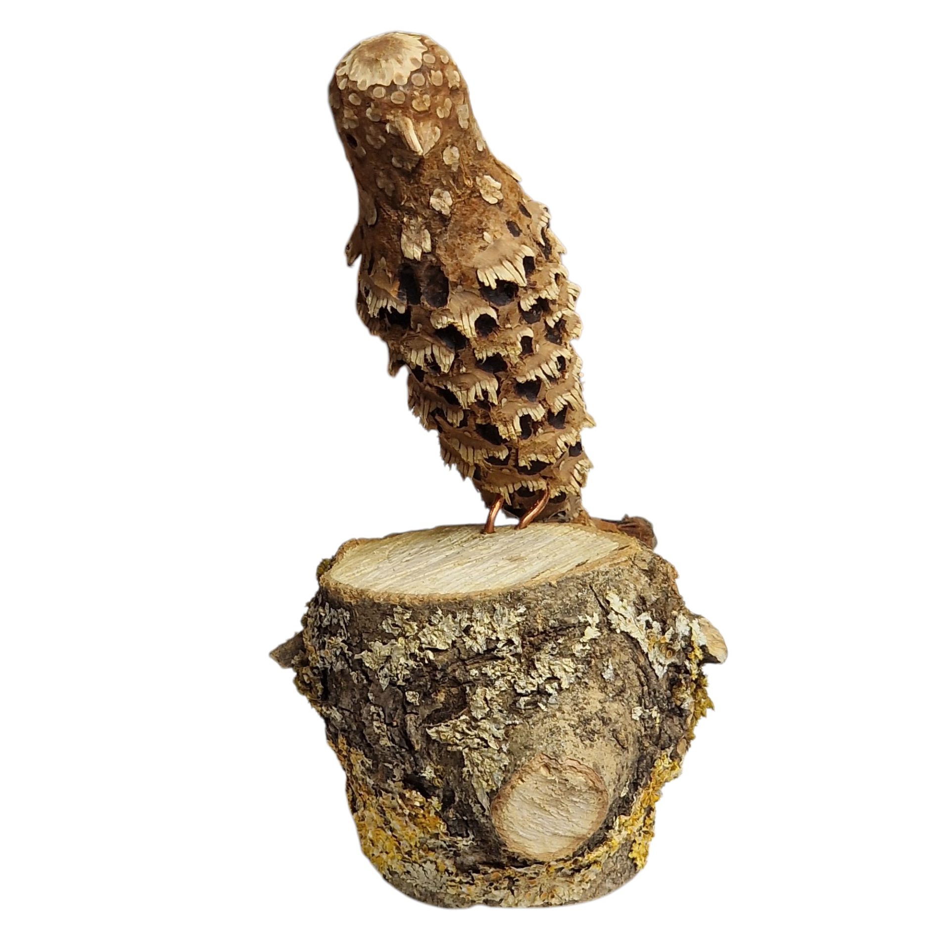 Mocho Artesanal em Pinha sobre Base de Madeira Natural