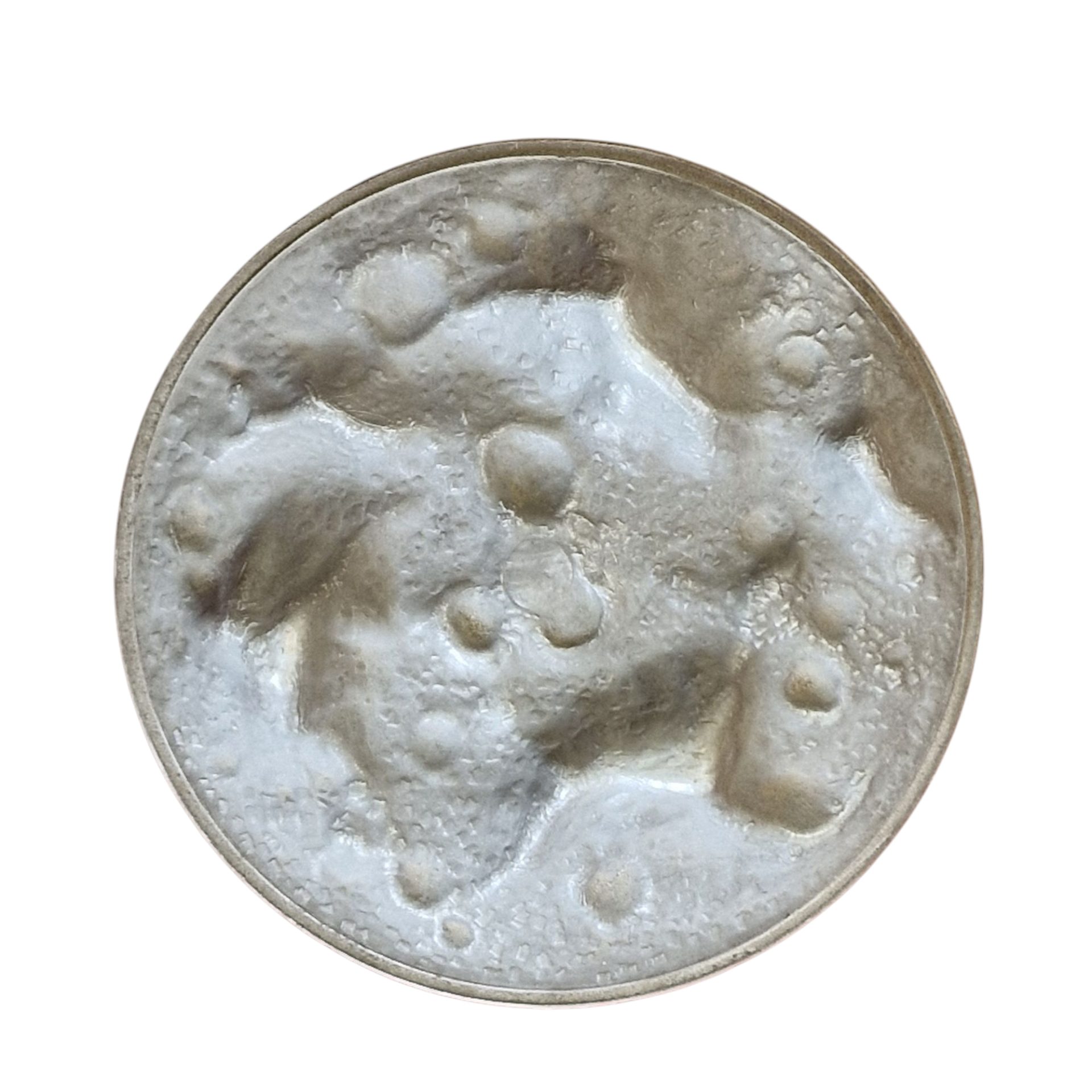 Globo Lunar Metálico – Replogle Globes