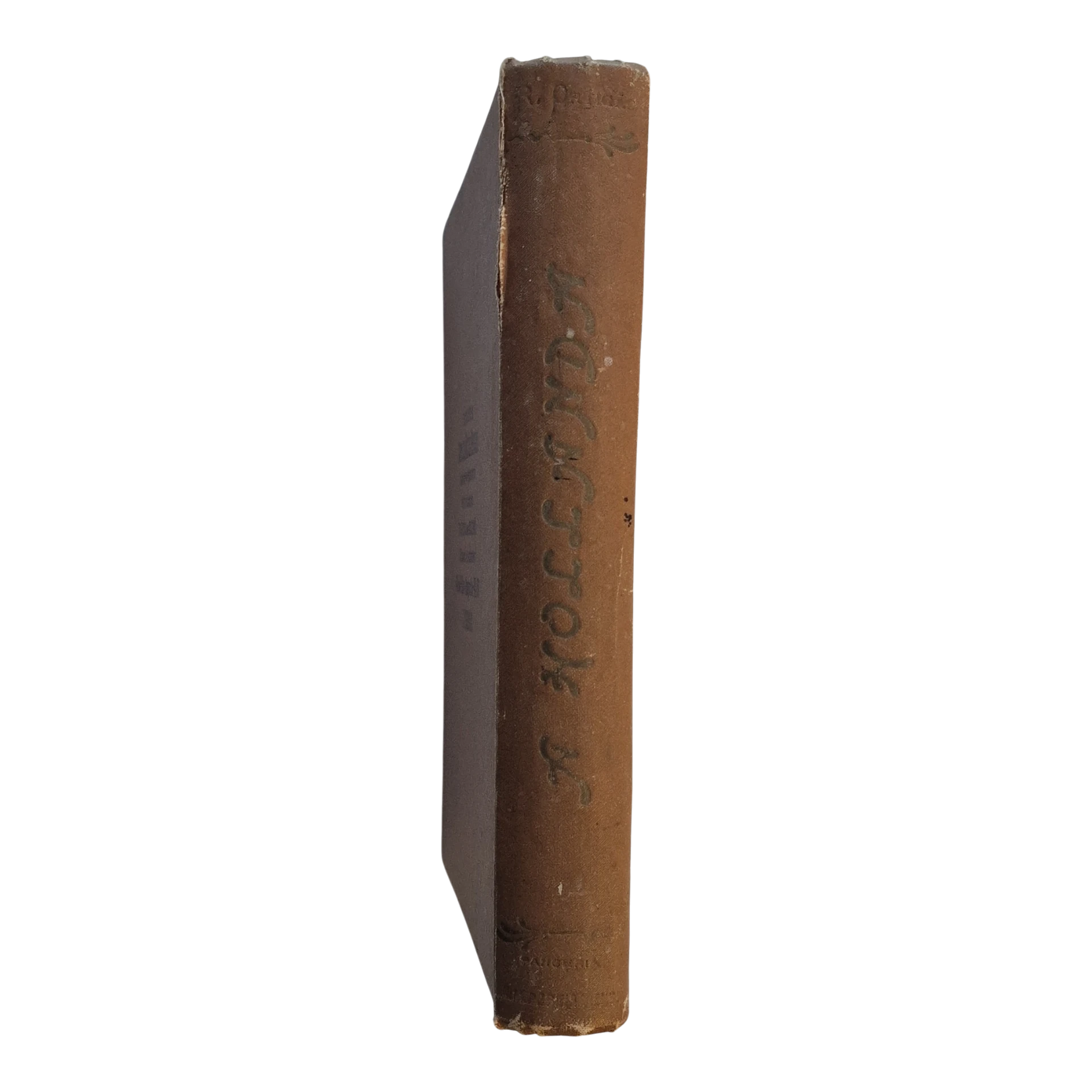 A Hollanda – Ramalho Ortigão – Parceria António Maria Pereira – 1910