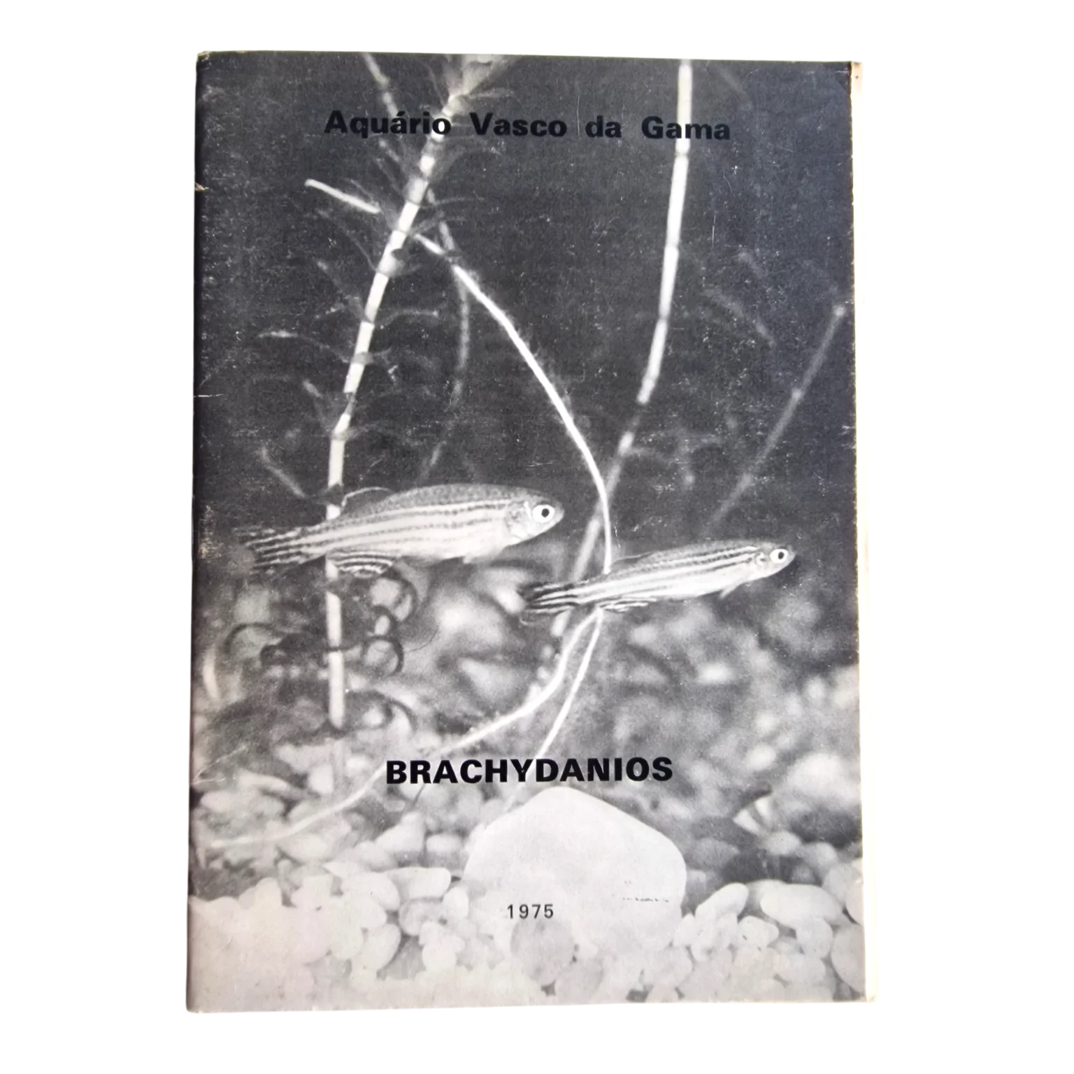 Brachydanios | Aquário Vasco da Gama | 1975 — Folha de rosto