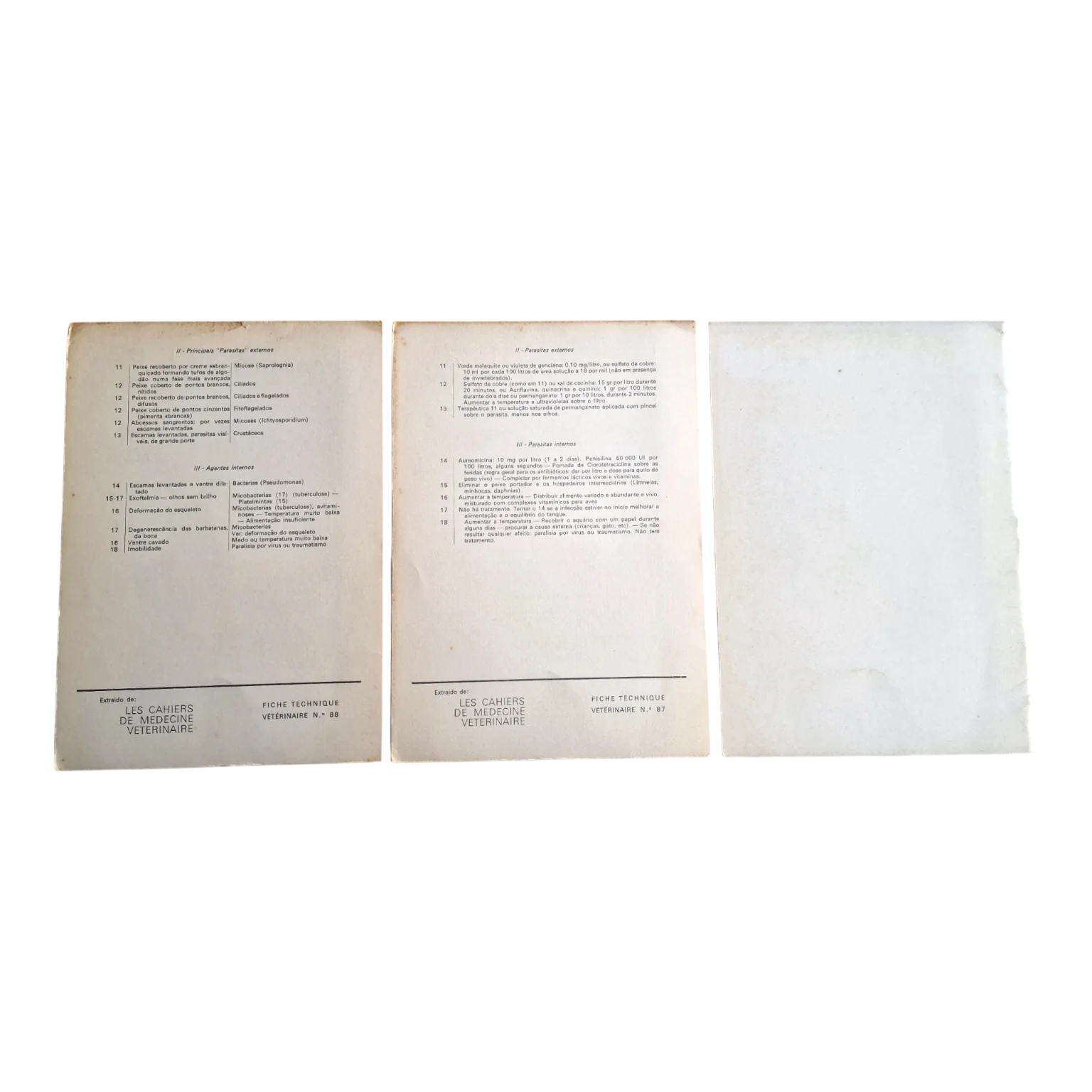 Brachydanios | Aquário Vasco da Gama | 1975 — Contracapa